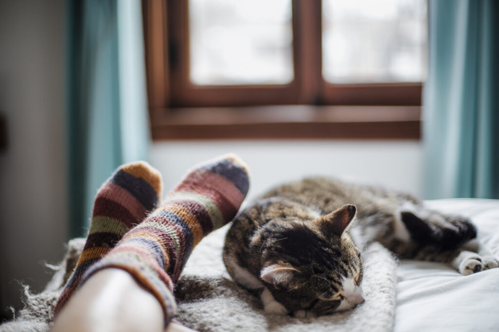 A cat sleeping in bed with its owner.