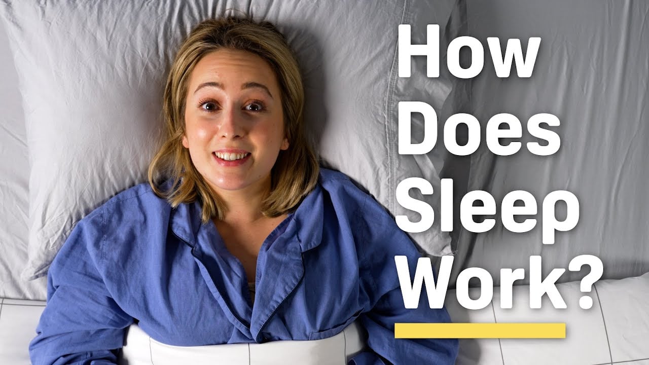 What Happens When You Sleep: The Science of Sleep