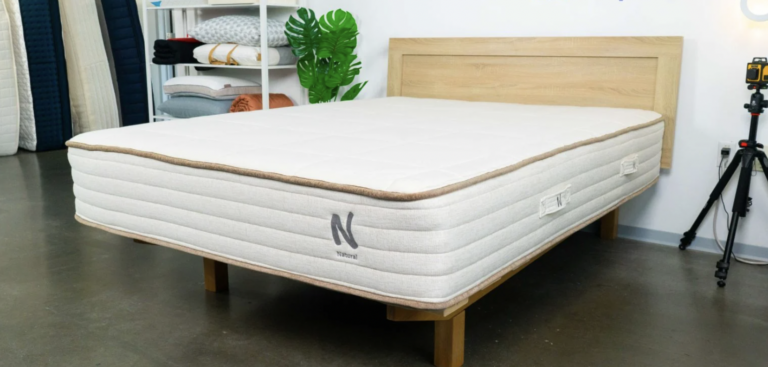 Nolah Natural 11