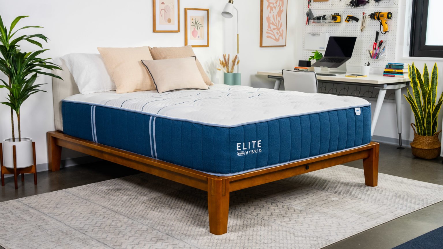 Best Mattress for Seniors & Elderly of 2024