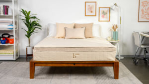 Birch Luxe