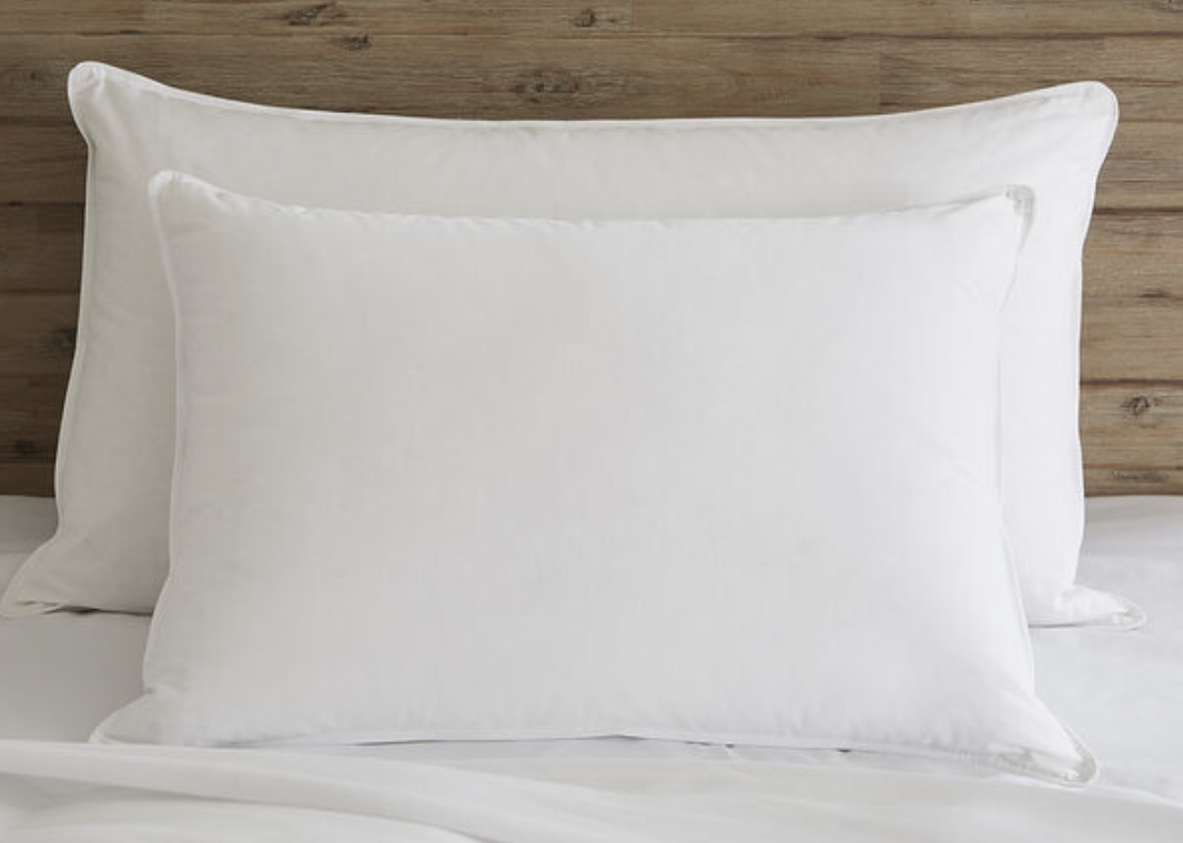 Product page photo of the Pacific Coast Hotel Down Surround Pillow