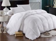 Down Cotton All Year 700 Fill Power Down Comforter