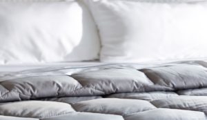 Layla Down Alternative Comforter