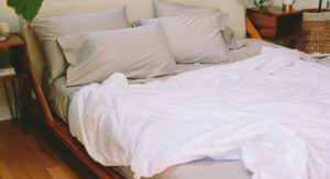 Nest Bedding Silk Cloud Comforter