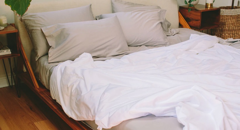 Brand images of Nest Bedding Silk Cloud Comforter