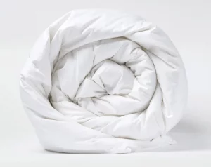 Quince Luxe Goose Down Comforter