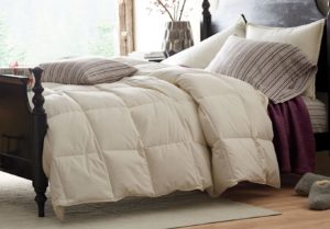 The Company Store LaCrosse Down Comforter