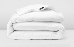 Silk & Snow Down Duvet Insert 