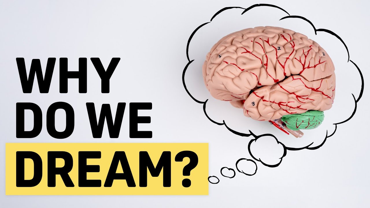 Why and How Do We Dream?