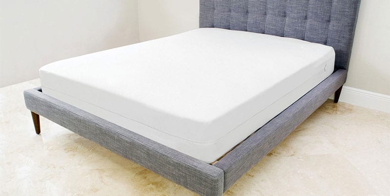 silent night cot bed mattress protector