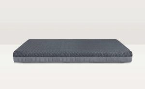 SleepDog Mattress