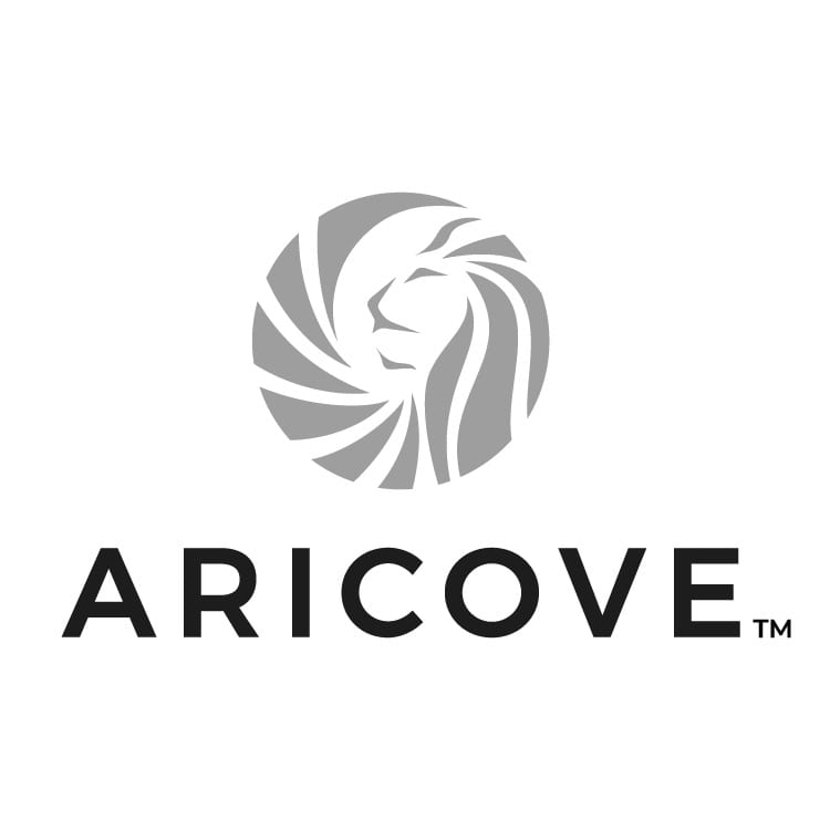 Aricove Weighted Blanket
