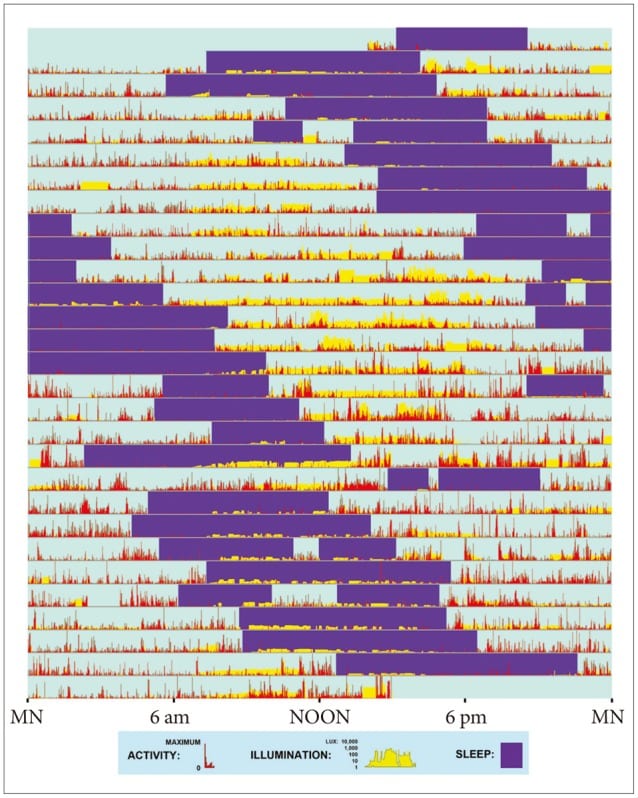 Example of actigraphy results.
