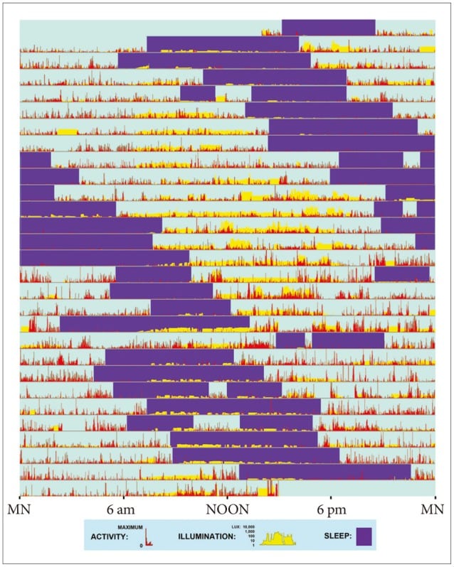 Example of actigraphy results. 