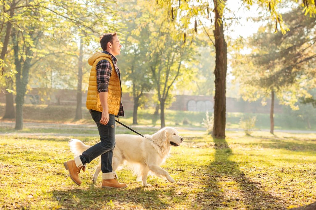 man walking through the park with his dog