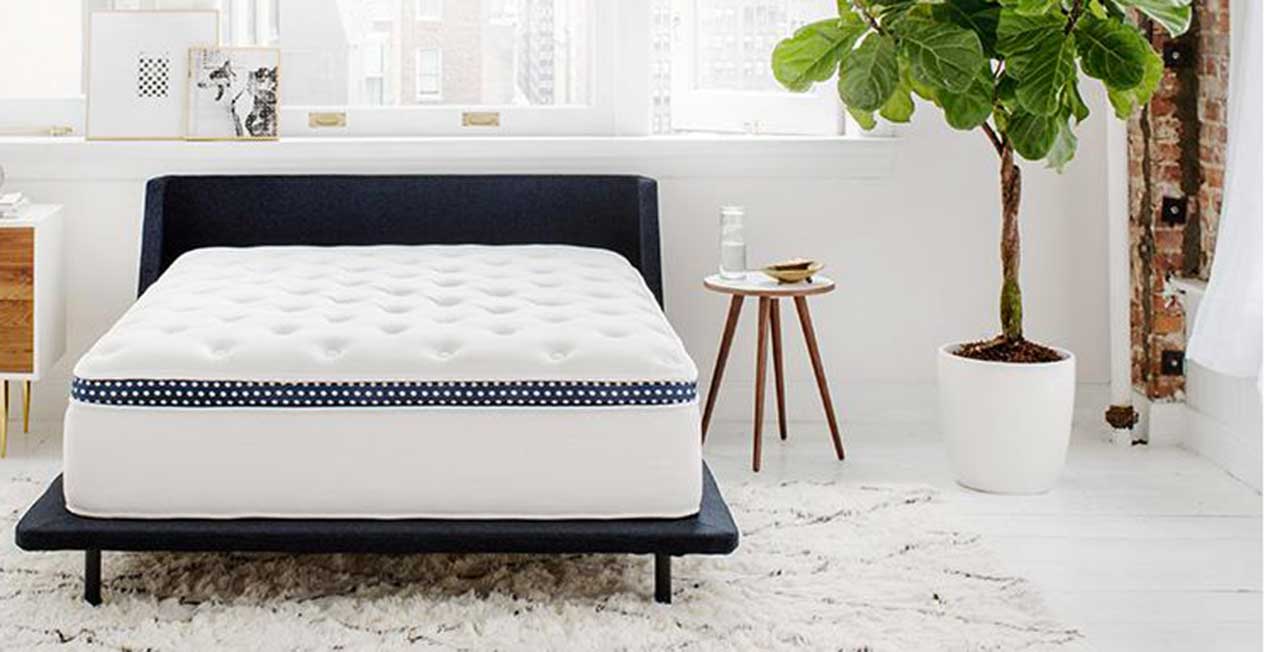 Best Budget Mattress | Best Mattress | TrendPickle