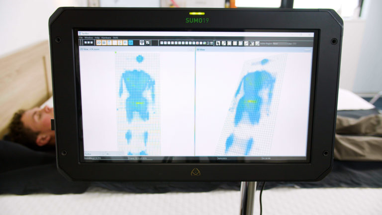 Close-up of back-sleeping pressure mapping results for the PlushBeds Natural Bliss mattress