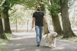 Blind man walking with cane and dog