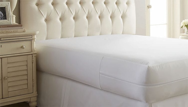 sleep safe anti bed bug mattress protector