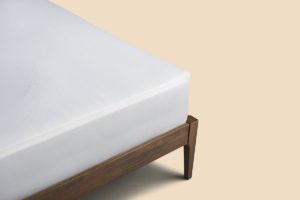 Coop Sleep Goods Ultra Luxe Waterproof Mattress Protector