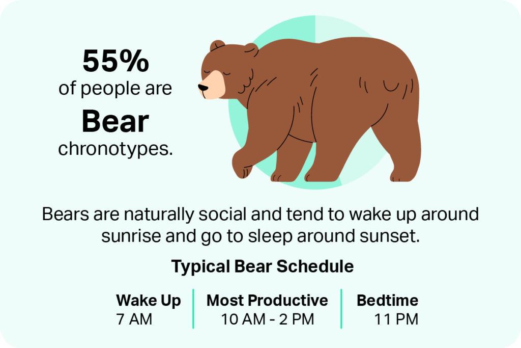 Bear are naturally social and tend to wake up around sunrise and go to sleep around sunset. 