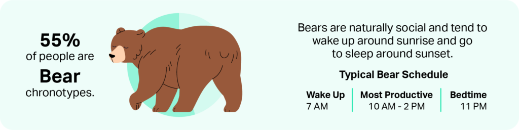 Bear are naturally social and tend to wake up around sunrise and go to sleep around sunset. 