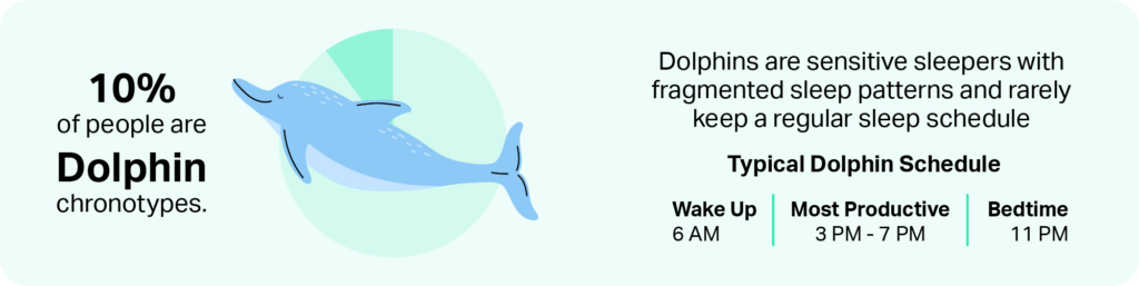 Dolphins are sensitive sleepers with fragmented sleep patterns and rarely keep a regular sleep schedule. 