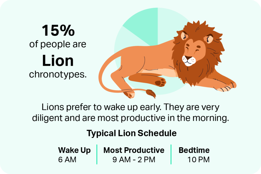 Lions prefer to wake up early. They are very diligent and are most productive in the morning.