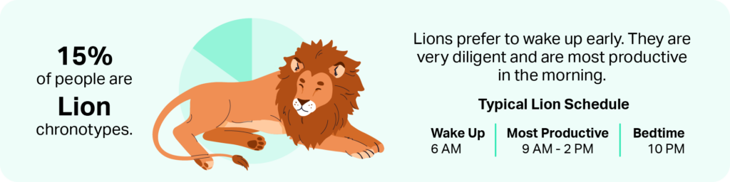 Lions prefer to wake up early. They are very diligent and are most productive in the morning.