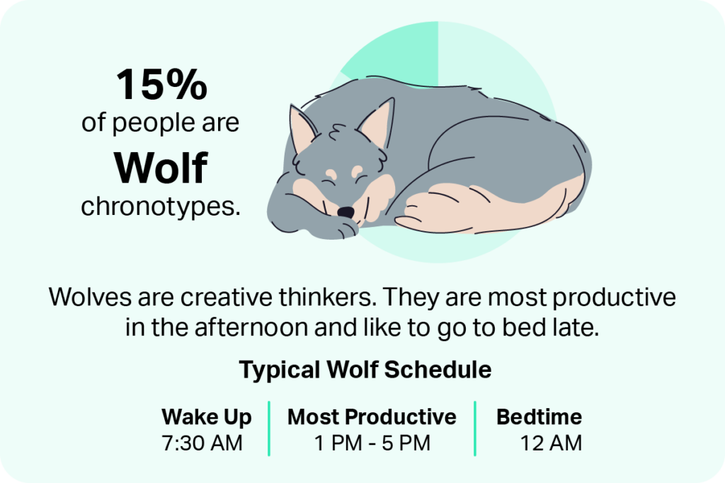 Wolves are creative thinkers. They are most productive in the afternoon and like to go to bed late. 