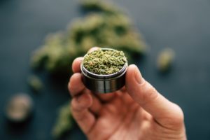 A hand holding a small container of marijuana
