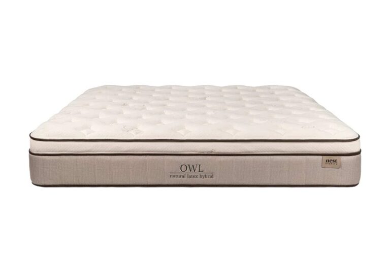Nest Bedding Owl