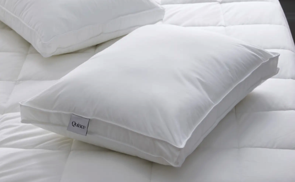 The 10 Best Down Pillows of 2024, Tested and Reviewed