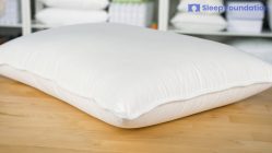 Firm Support Extra Filled 1000gm Fine Hollowfibre Pillow 5 Star Hotel Quality 