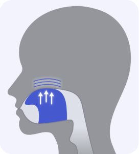Diagram illustrating the tongue push up exercise