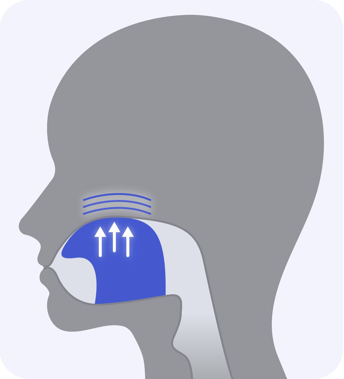 Diagram illustrating the tongue push up exercise