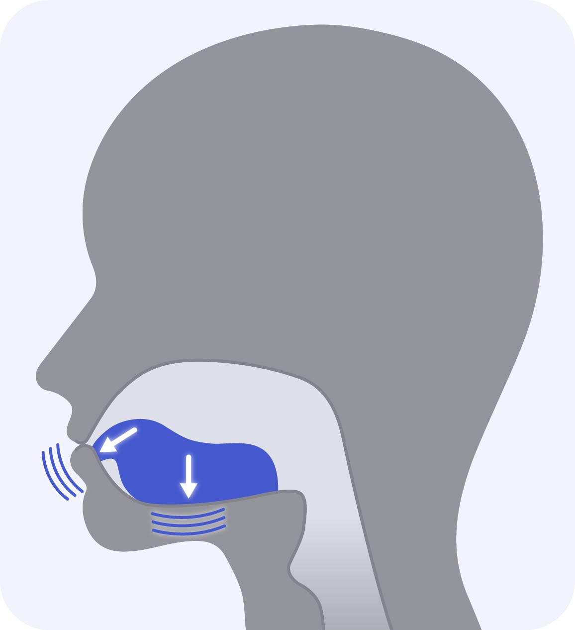 Diagram illustrating the tongue push down exercise