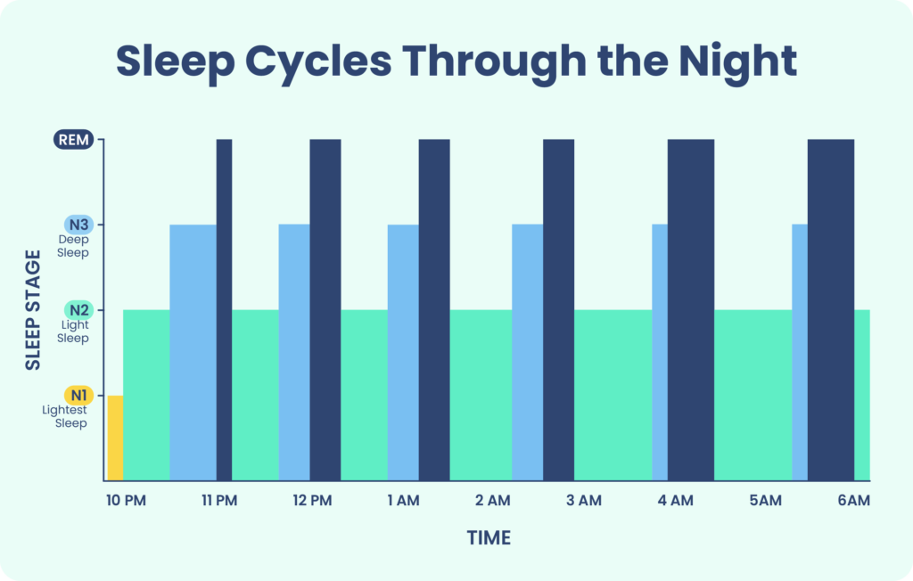 Graph showing how the sleep cycle changes during the night. 