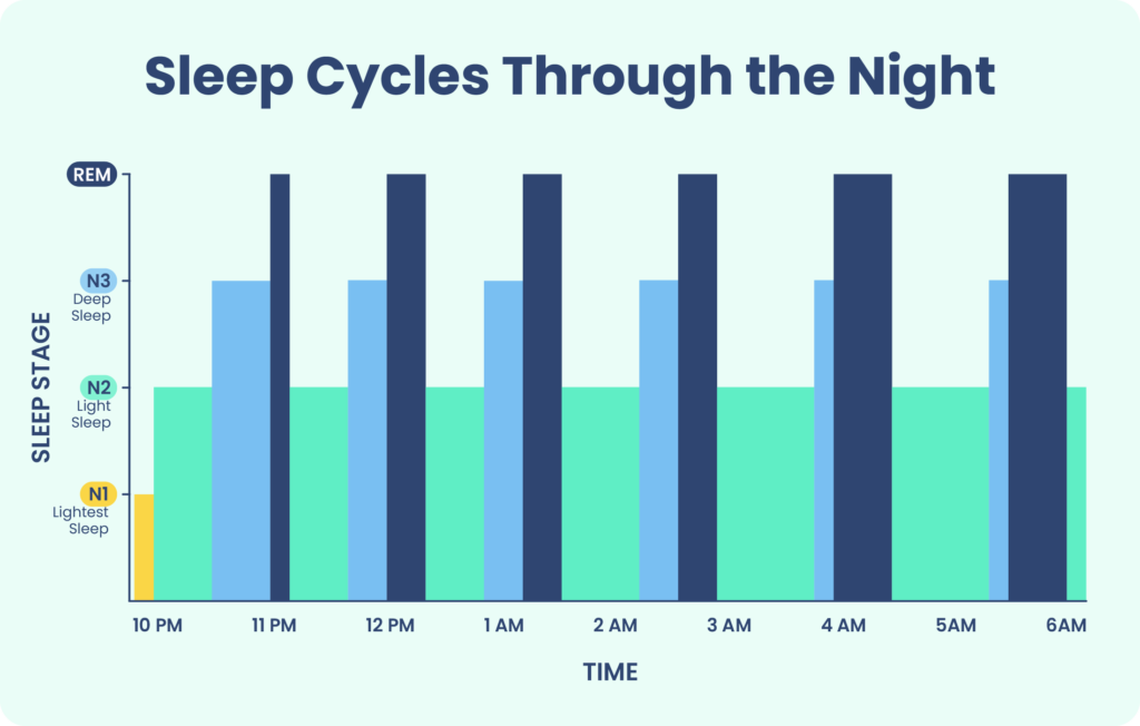 Stages Of Sleep What Happens In A Sleep Cycle Sleep Foundation