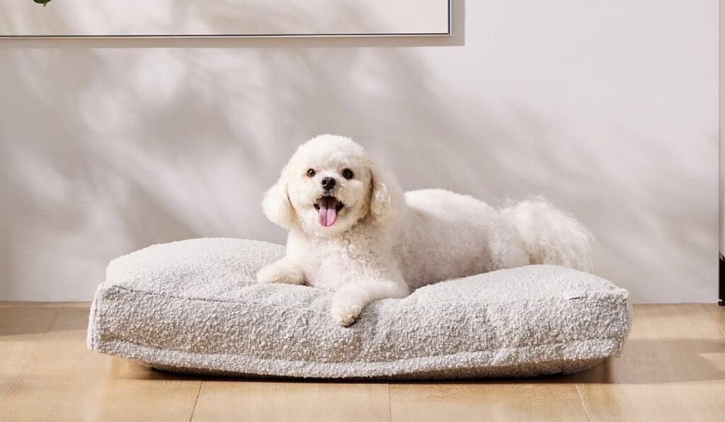 Product page photo of the Saatva Dog Bed