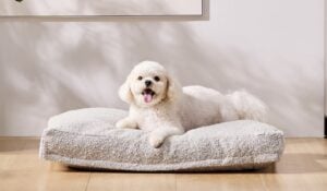 Product page photo of the Saatva Dog Bed