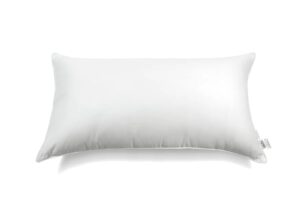 Sweet Zzz Plant-Based Pillow