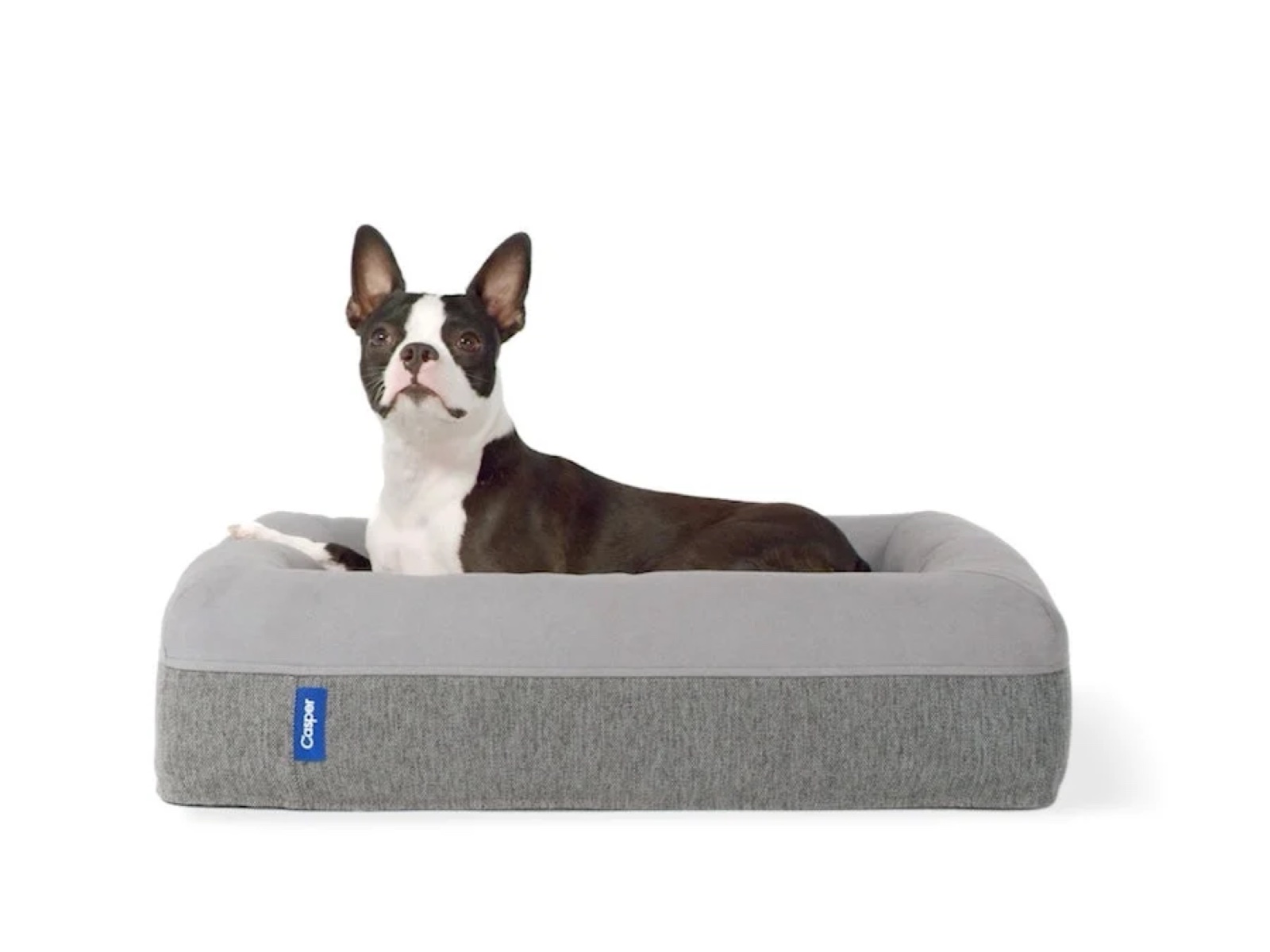 Casper Dog Bed, Plush Memory Foam, Large, Gray