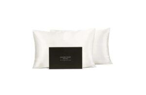 Fishers Finery 30 Momme 100% Pure Mulberry Silk Pillowcase with Gift Box