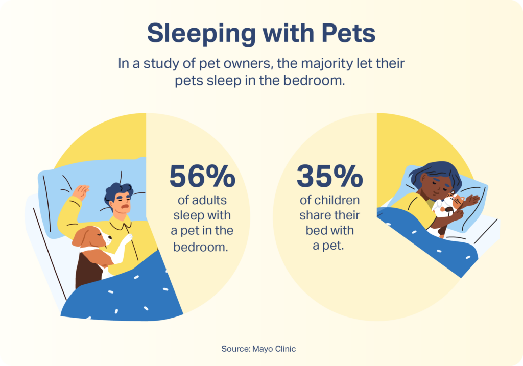 Pie chart showing 56% of people let their pets sleep in the bedroom with them. 