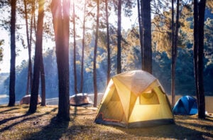 image of a tent in the woods