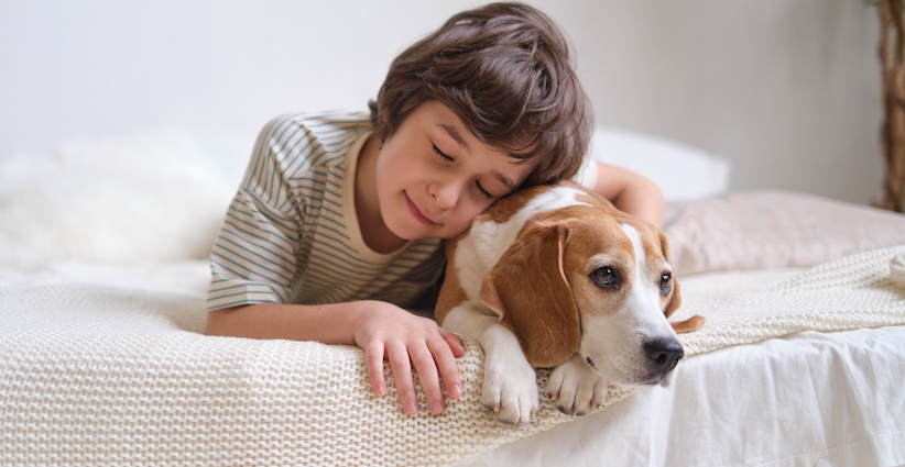 Image for Service Dogs Help Autistic Kids Sleep Better