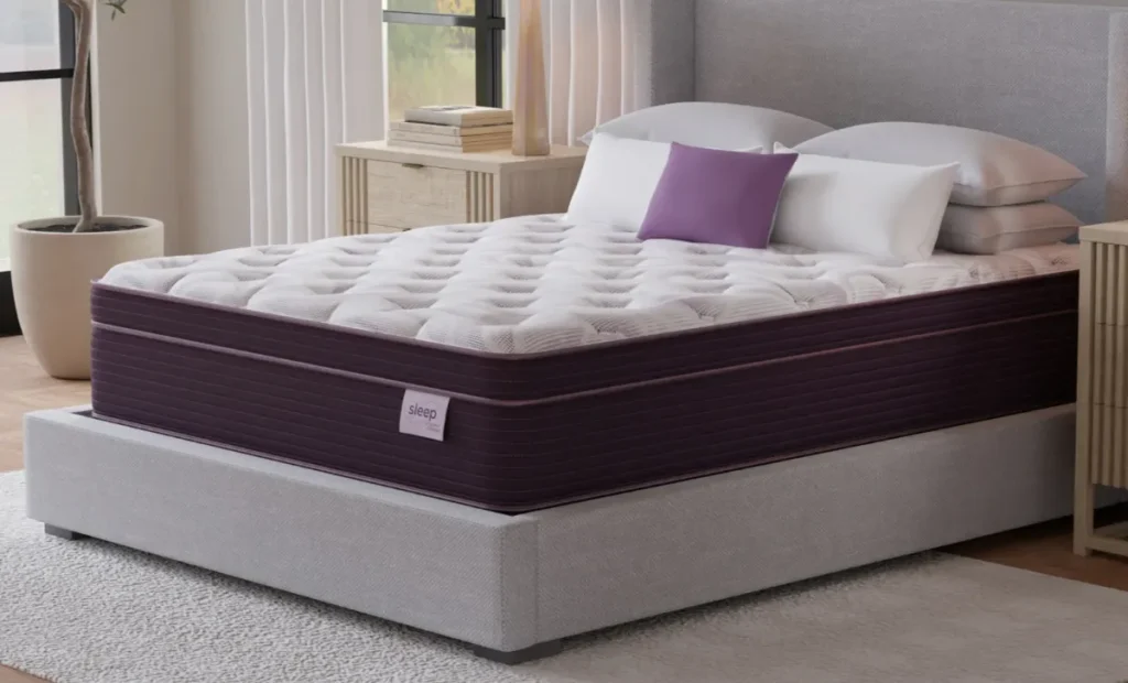 Sleep by Raymour & Flanigan Plush Euro Pillowtop Mattress Review: Test Lab Ratings